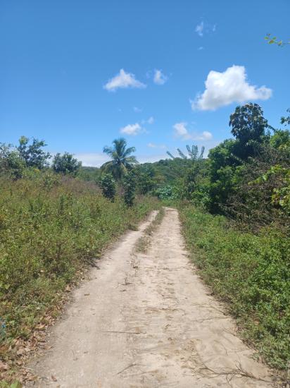 Área Escriturada no Santa Maria - foto 5
